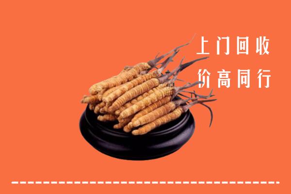临沧回收散虫草